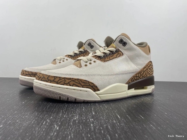 Kicktheory 3 Air Jordan Palomino CT8532-102 0815
